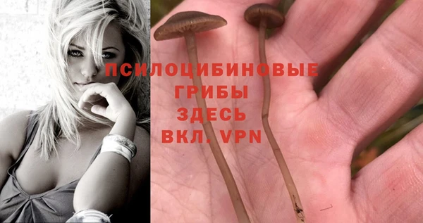 наркотики Арсеньев